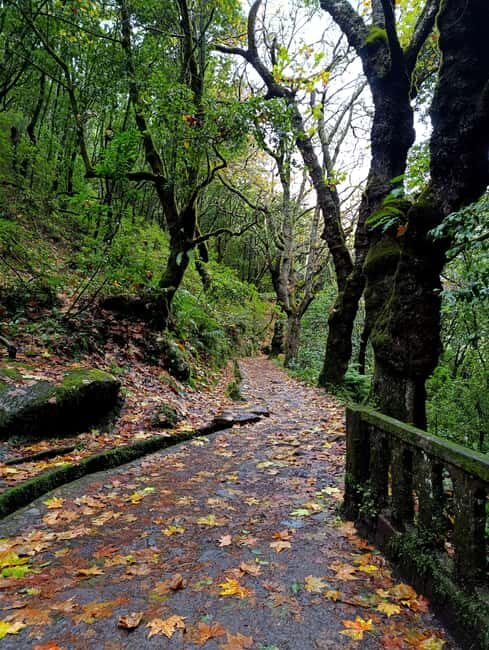 Madeira: East Side Tour - Who Should Consider This Tour?