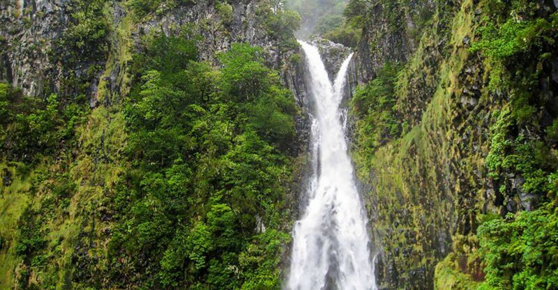 Madeira: Enjoy a Guided Levada Walk in the Rabaçal Valley - A Deep Dive into the Rabaçal Guided Levada Walk