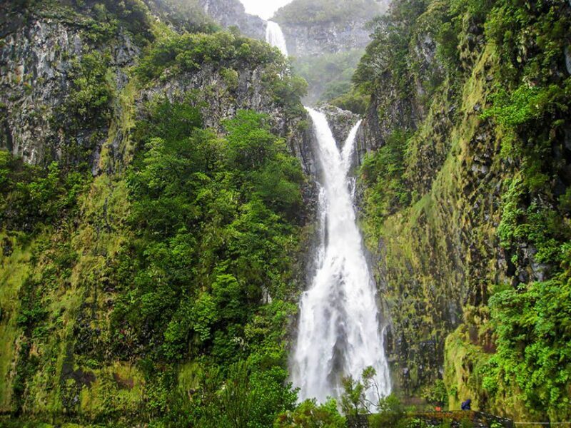 Madeira: Enjoy a Guided Levada Walk in the Rabaçal Valley - What Travelers Say