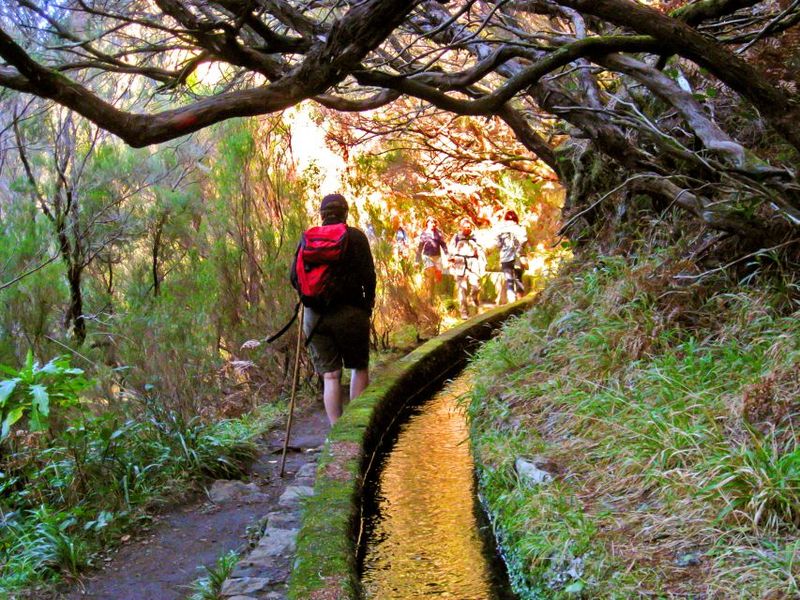 Madeira: Enjoy a Guided Levada Walk in the Rabaçal Valley - Levada das 25 Fontes: the 25 cascades moment