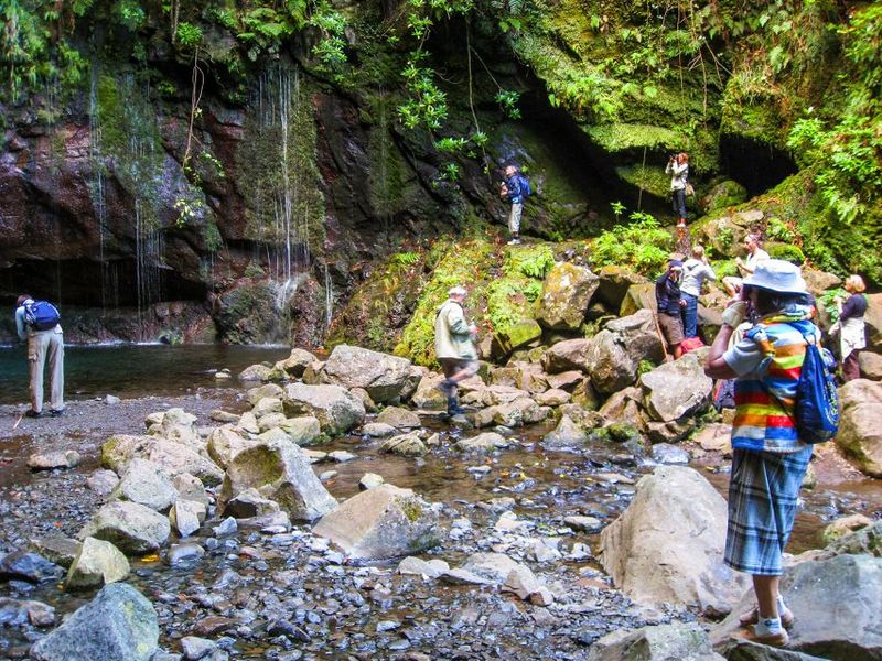 Madeira: Enjoy a Guided Levada Walk in the Rabaçal Valley - The tunnel section: wet, surprising, and worth preparing for