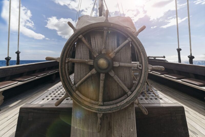 Madeira: Flag Ship Tour aboard Santa Maria de Colombo - Wildlife and Water Activities: Seeing Dolphins and Swimming