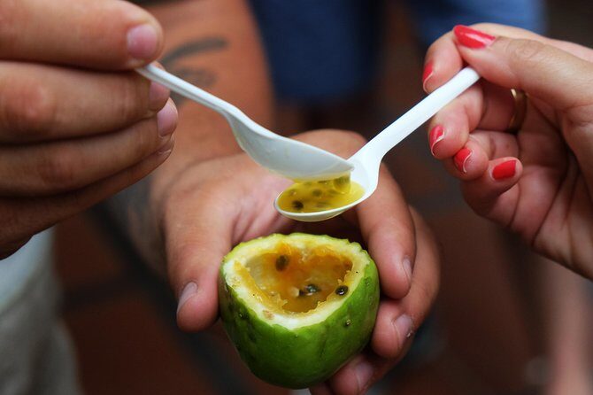 Madeira Food, Wine & Cultural Tour - Digging Into the Experience