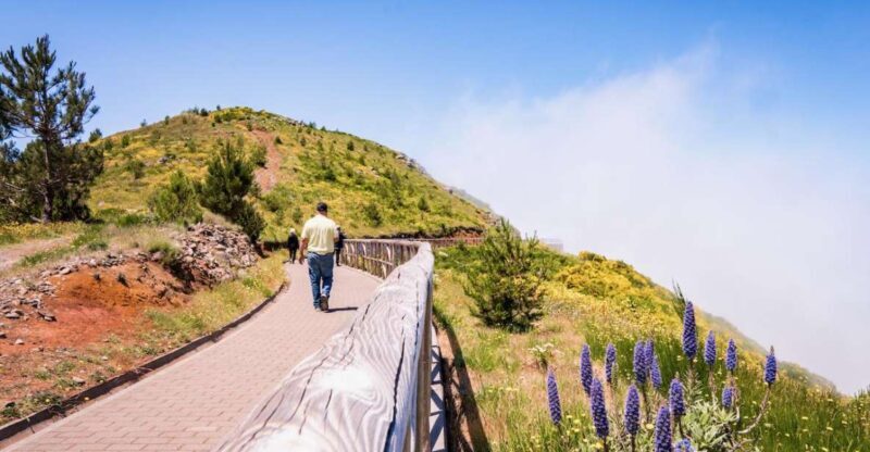 Madeira : Full Day Adult only East 4x4 Tour - Key Points