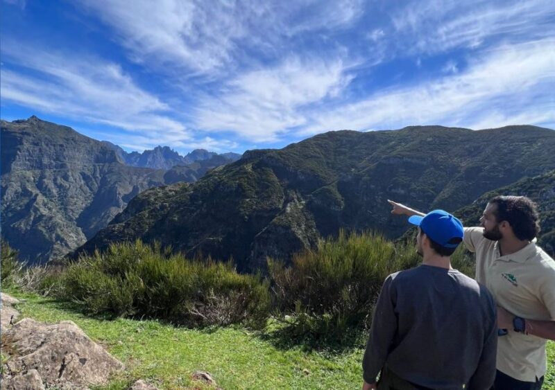 Madeira: Full-Day Jeep Tour with Guide and Pickup - Who Will Love This Tour?