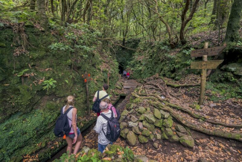Madeira: Full-Day Laurel Forest Guided Walking Tour - FAQs