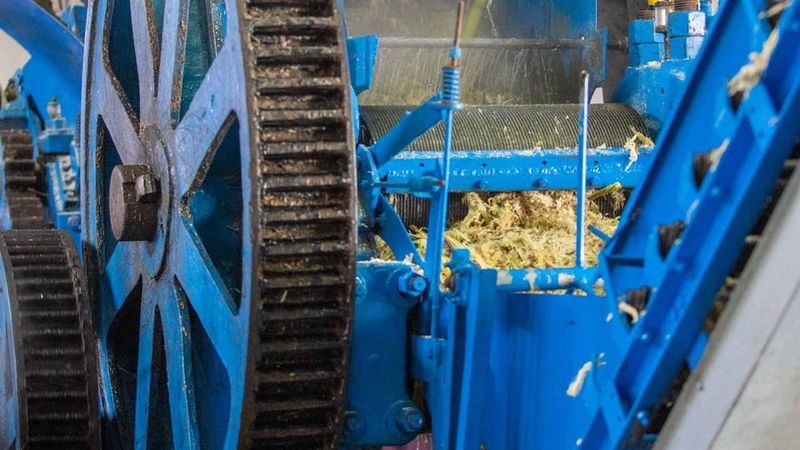 Madeira Funchal:East Tour Pico Arieiro & Santana&Laurissilva - Ribeiro Frio, UNESCO Laurissilva, and the easy Levada to Balcões