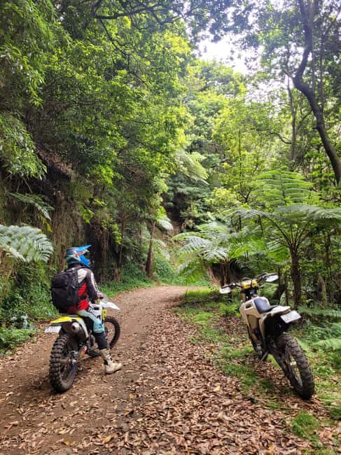 Madeira: Guided Enduro Dirt-Bike Adventure Tour - Who Will Enjoy This Experience?