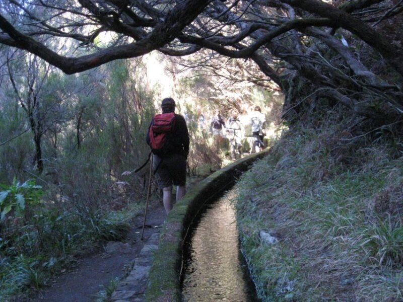 Madeira: Guided Full-Day Rabaçal Walk - Setting the Scene: What the Tour Entails