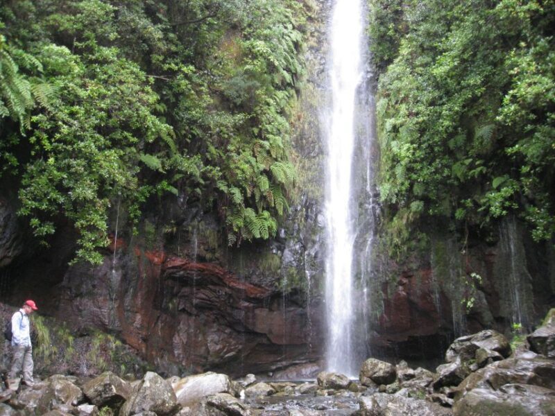 Madeira: Guided Full-Day Rabaçal Walk - The Experience According to Reviews