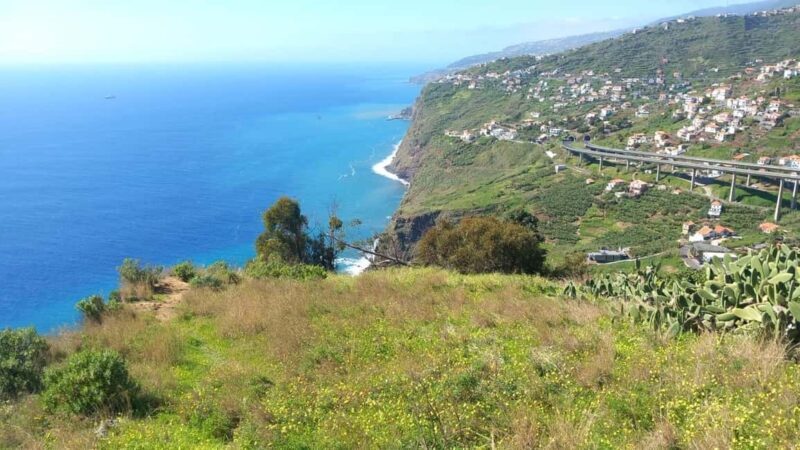 Madeira: Guided Wine Tasting and Scenic Walk - Key Points