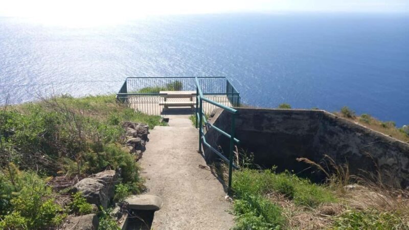 Madeira: Guided Wine Tasting and Scenic Walk - An In-Depth Look at the Madeira Guided Wine Tasting and Scenic Walk