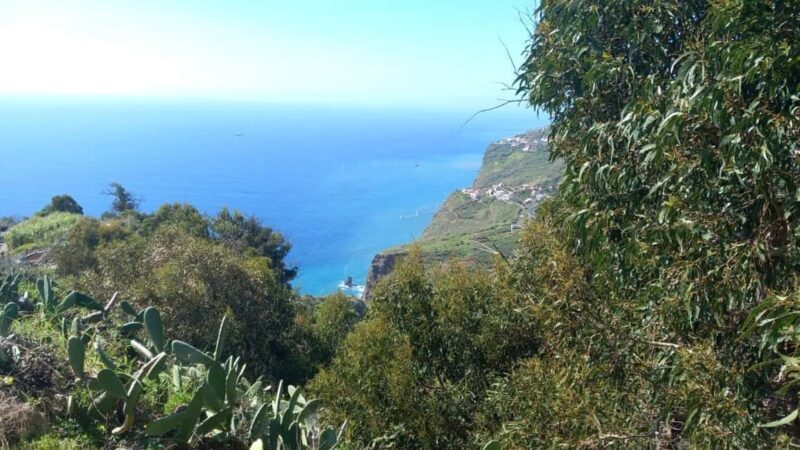 Madeira: Guided Wine Tasting and Scenic Walk - FAQs