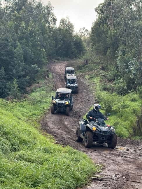 Madeira: Half-Day Off-Road Buggy Tour - The Driving Experience: Fun and Secure