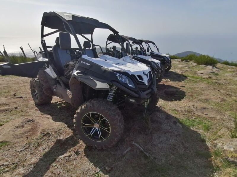 Madeira: Half-Day Off-Road Buggy Tour - Reviews Tell the Real Story