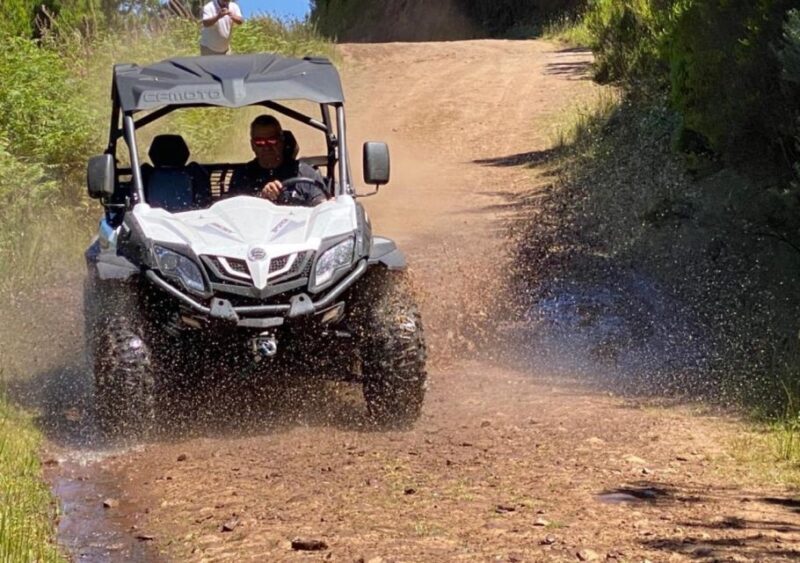 Madeira: Half-Day Off-Road Buggy Tour - Is This Tour Right for You?