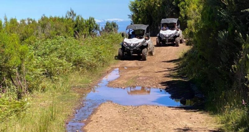 Madeira: Half-Day Off-Road Buggy Tour - FAQs