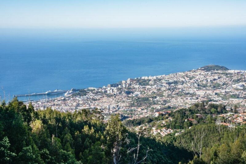 Madeira: Half-Day Pico Areeiro Jeep Tour - Key Points