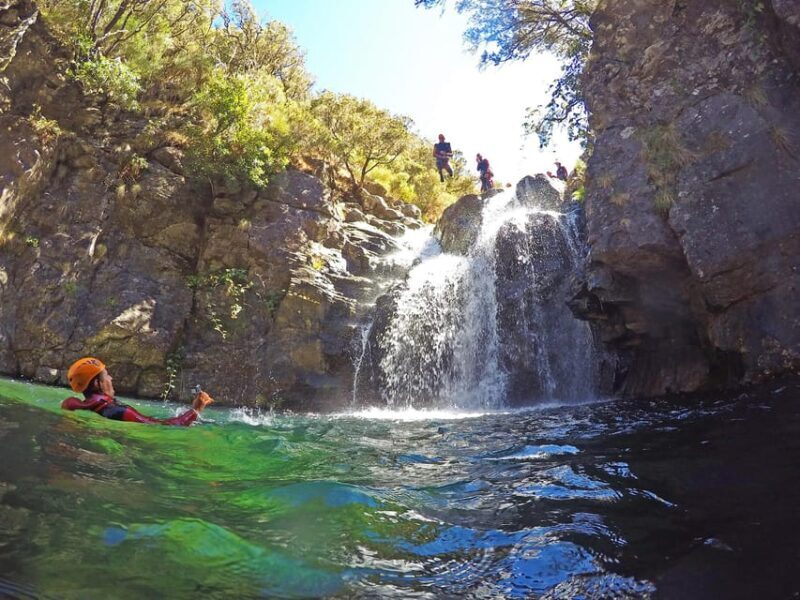 Madeira: Intermediate (Level 2) Canyoning Experience - Who Will Love This Tour?