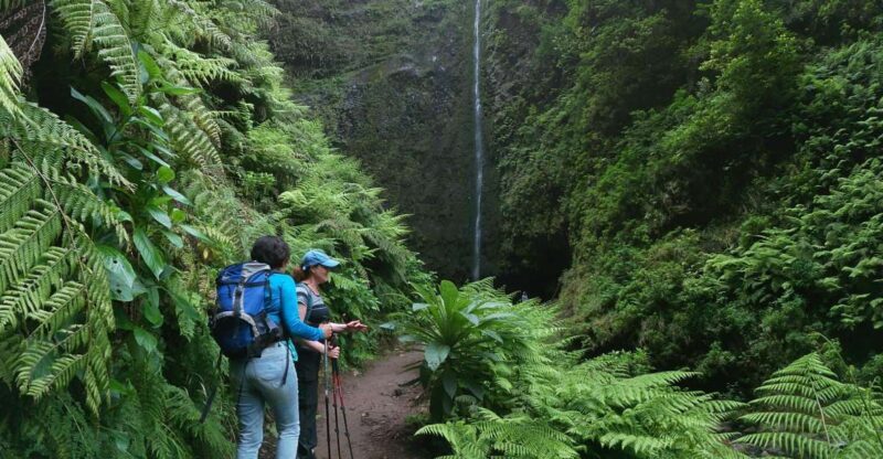 Madeira Island: Caldeirão Verde Levada Walk - Who Should Consider This Tour?