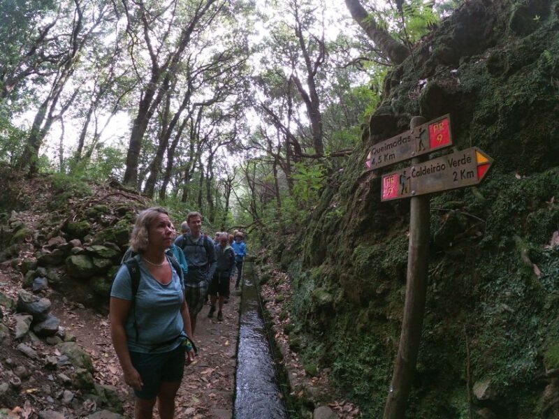 Madeira Island: Caldeirão Verde Levada Walk - Final Thoughts