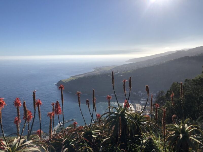 Madeira Island: Full-Day Guided Tour of Eastern Madeira - FAQ