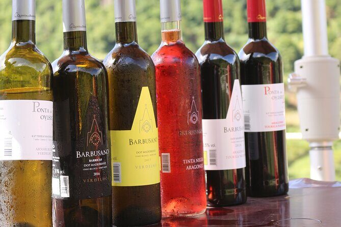 Madeira Island Private Wine Full-day Tour in all terrain vehicle - Why Choose This Tour?