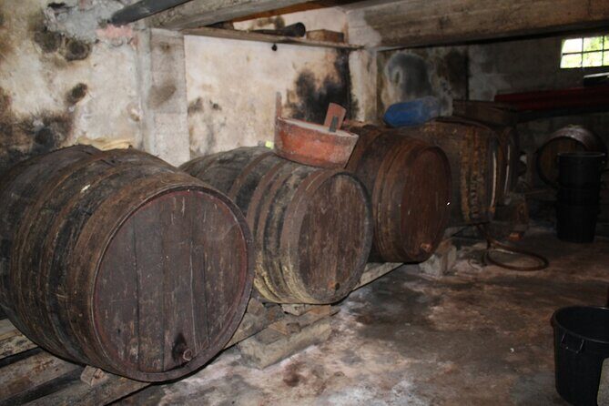 Madeira Island Private Wine Full-day Tour in all terrain vehicle - FAQs