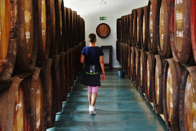 Madeira Island Private Wine Full-day Tour in all terrain vehicle - Final thoughts