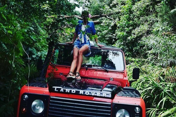 Madeira Jeep 4x4: Old Forest Full-Day Tour incl Pico Arieiro - Who Should Consider This Tour?