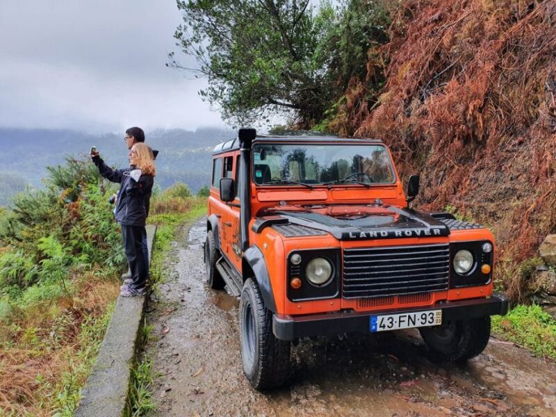 Madeira: Jeep 4x4 Old Forest Safari Tour with Pico Arieiro - Who Should Consider This Tour?