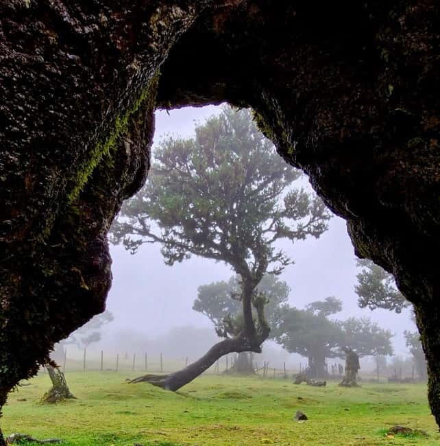 Madeira Jeep Safari Tour with Fanal Forest and Natural Pools - Who Would Love This Tour?