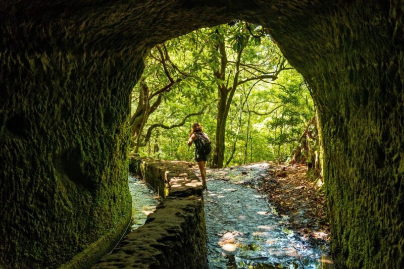 Madeira: Jungle Fever Levada Caldeirao Verde Hike Santana - The Authentic Madeira Experience