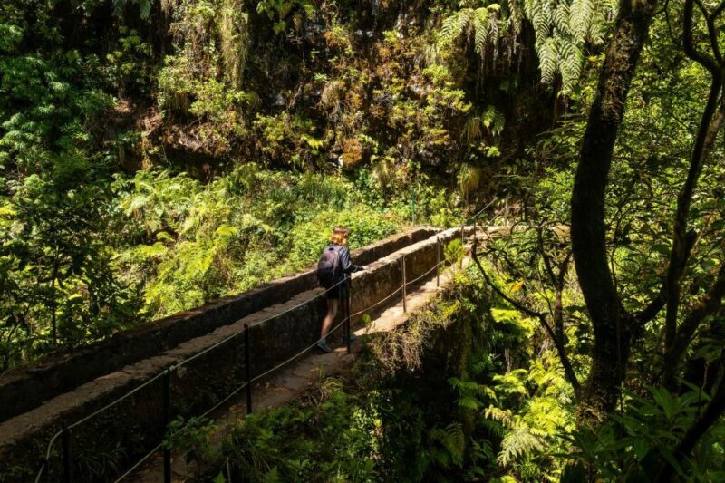 Madeira: Jungle Fever Levada Caldeirao Verde Hike Santana - FAQs