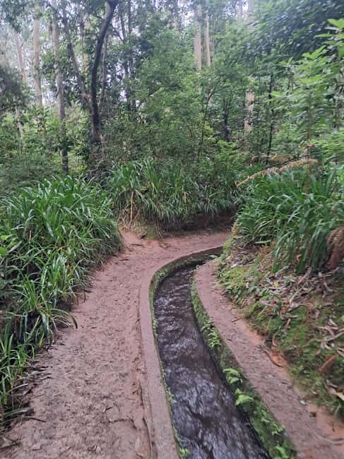 Madeira: Levada do Rei Guided Hike with Hotel Pickup - Key Points