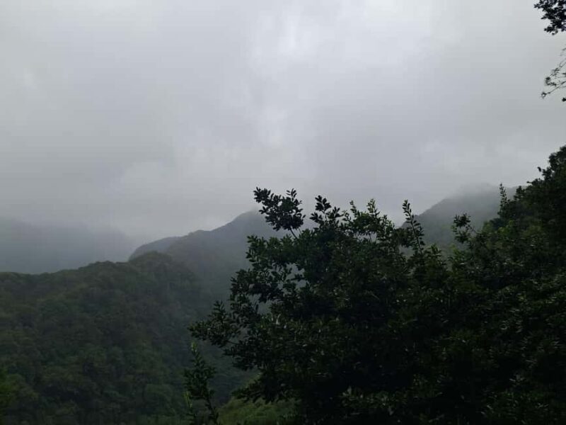 Madeira: Levada do Rei Guided Hike with Hotel Pickup - Frequently Asked Questions