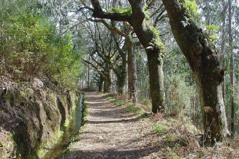 Madeira: Levada Paradise Valley Scenic Walk - Exploring Madeira’s Scenic Side Without the Strain