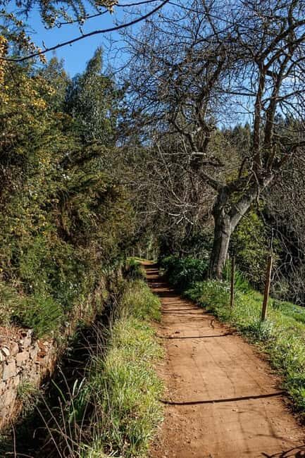 Madeira: Levada Paradise Valley Scenic Walk - What’s Special About the Itinerary?