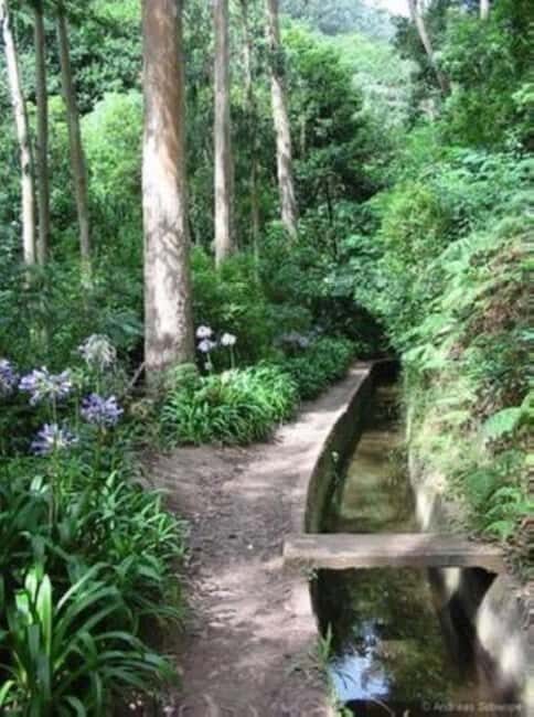 Madeira: Levada Paradise Valley Scenic Walk - Who Is This Tour Best Suited For?