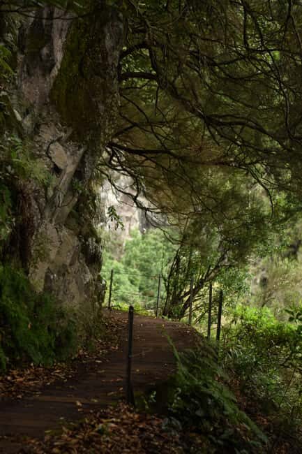 Madeira: Levada Paradise Valley Scenic Walk - FAQ