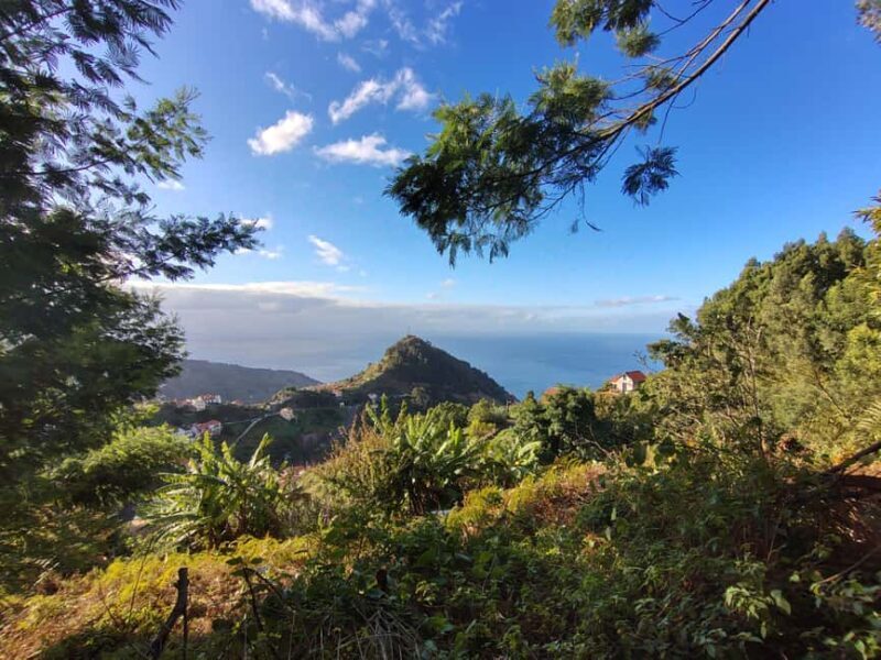 Madeira: Levada Paths of Water, People, and Tradition - What This Tour Offers: An Honest Breakdown