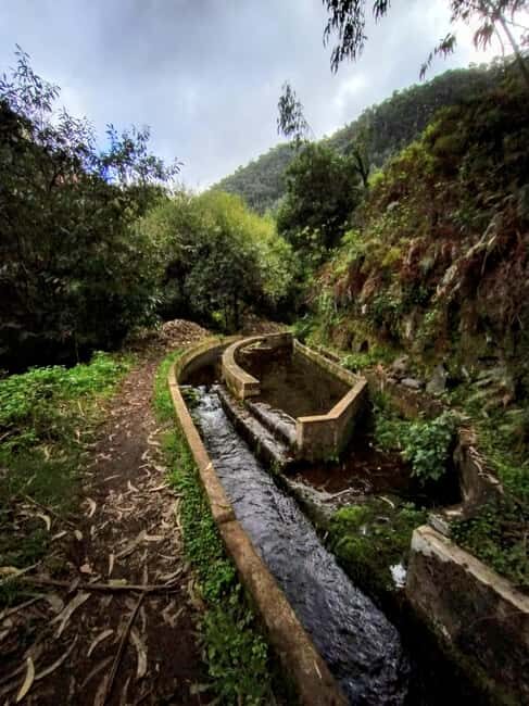 Madeira: Levada Paths of Water, People, and Tradition - The Value of This Experience