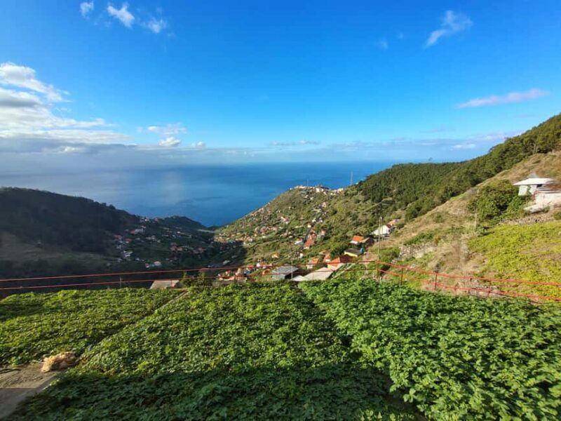Madeira: Levada Paths of Water, People, and Tradition - Final Thoughts: Who Should Consider This Tour?