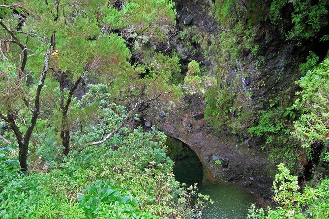 Madeira Levada Walk - Rabacal Lakes and Fountains - An In-Depth Look at the Tour Experience