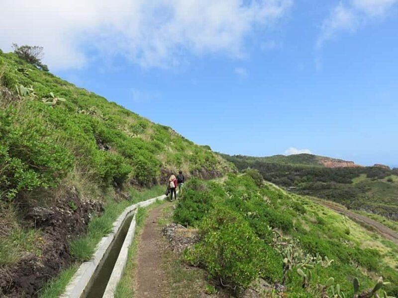Madeira Levada Walk with Poncha Tasting - Practical Details and Considerations