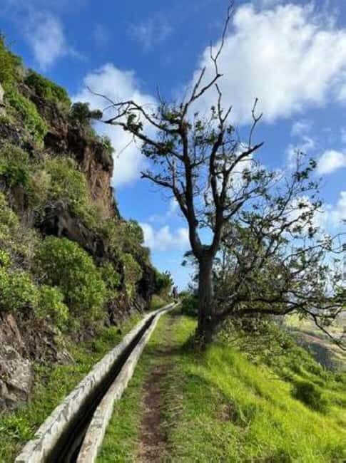 Madeira Levada Walk with Poncha Tasting - FAQ