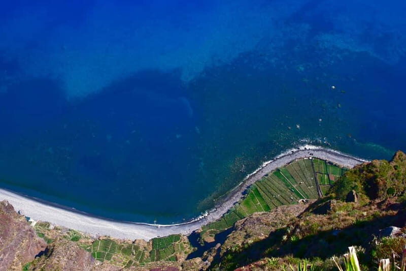 Madeira: Luxury 4-Hour Cruise on a Private Catamaran - Who Would Love This Tour?