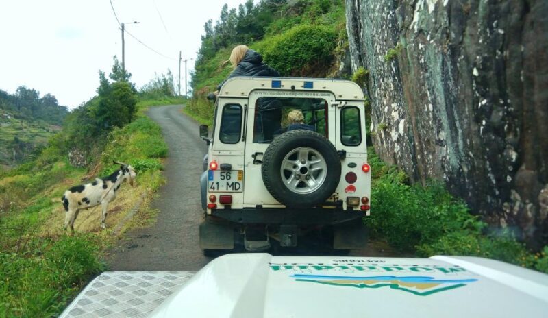 Madeira: Mini-Combo East Challenge: Jeep Safari + Levada - Authentic Traveler Insights