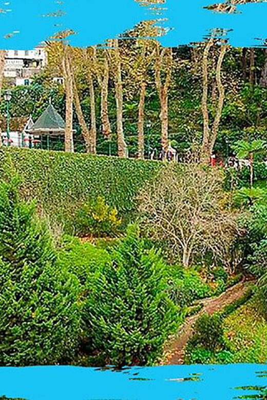 Madeira: Monte Toboggan & Old Town Guided Tuk Tour by MadTuk - Price and Value