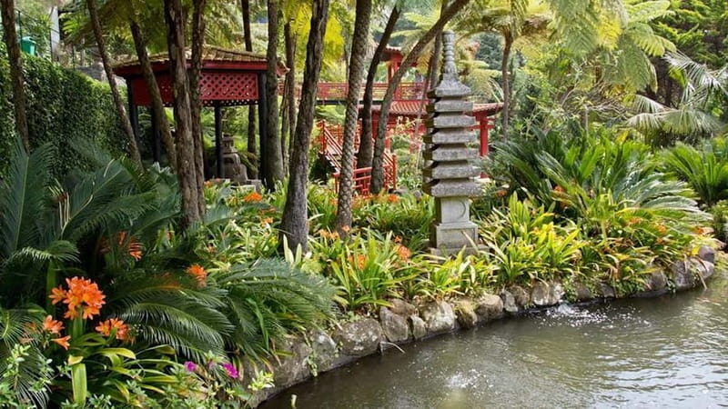 Madeira: Monte Tropical Gardens + Old Town Tuk Tuk by MadTuk - What Makes This Tour Stand Out?